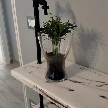 Apartment Anica *